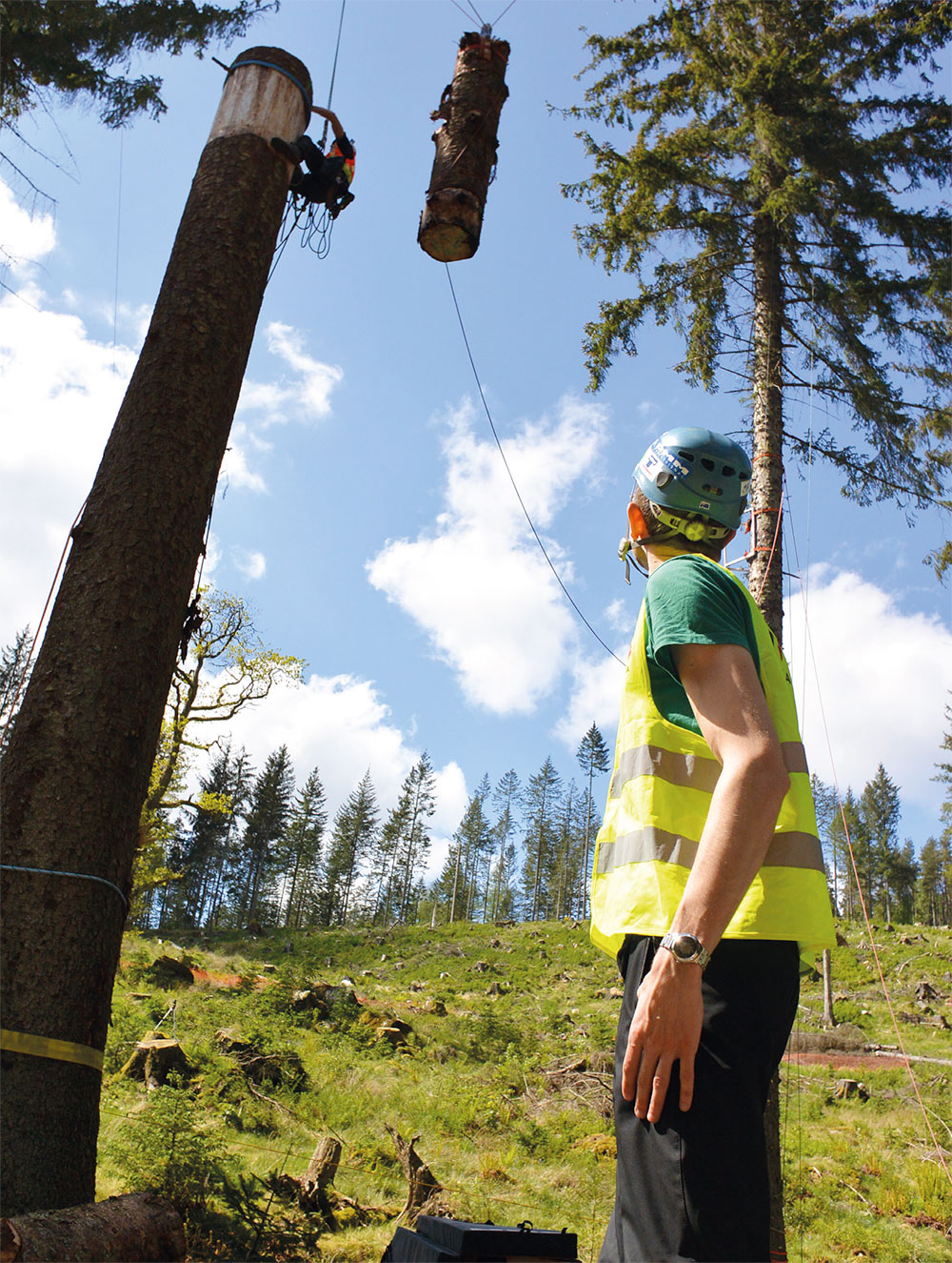 Lifting and resetting the test mass. The climber and mass were anchored with two fully independent systems. (Photo: Treemagineers Ltd)