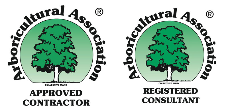 The AA’s Register of Consultants was launched 1971