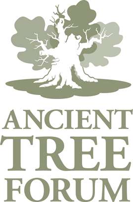The Ancient Tree Forum