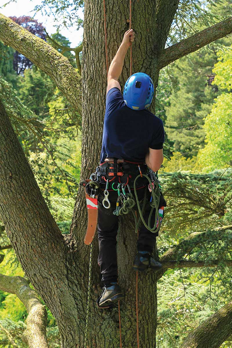 Good Climbing Practice