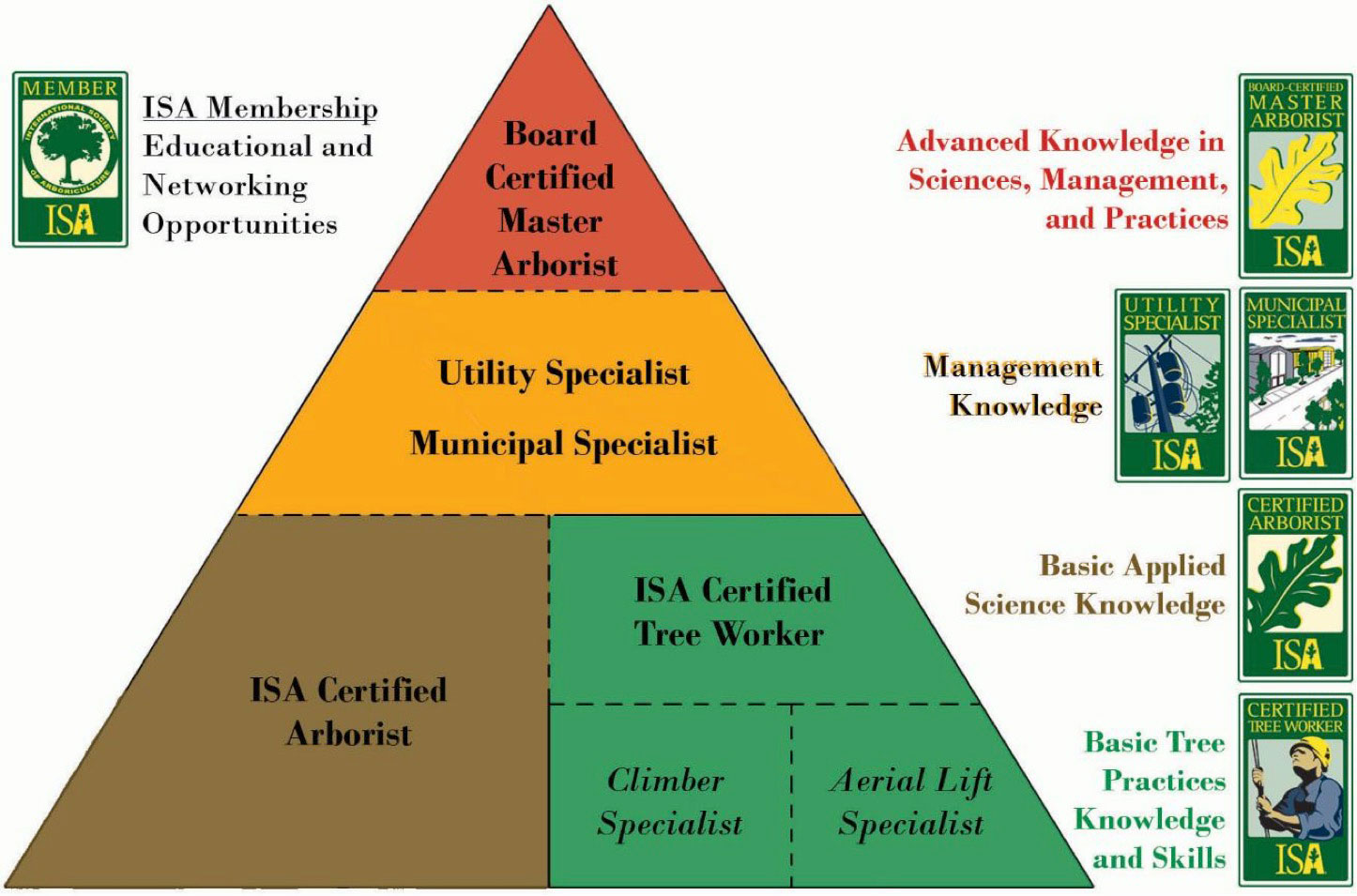 Arboricultural Association International Society of Arboriculture