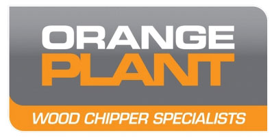 Orange Plant