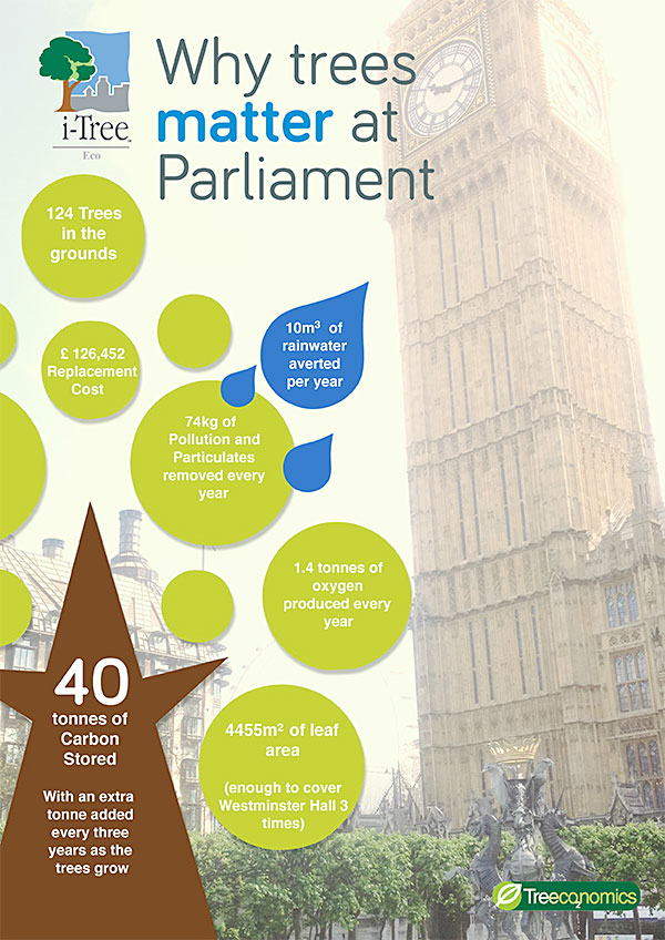 Why trees matter at Parliament