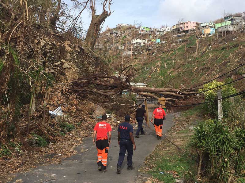 Tree clearing gets underway