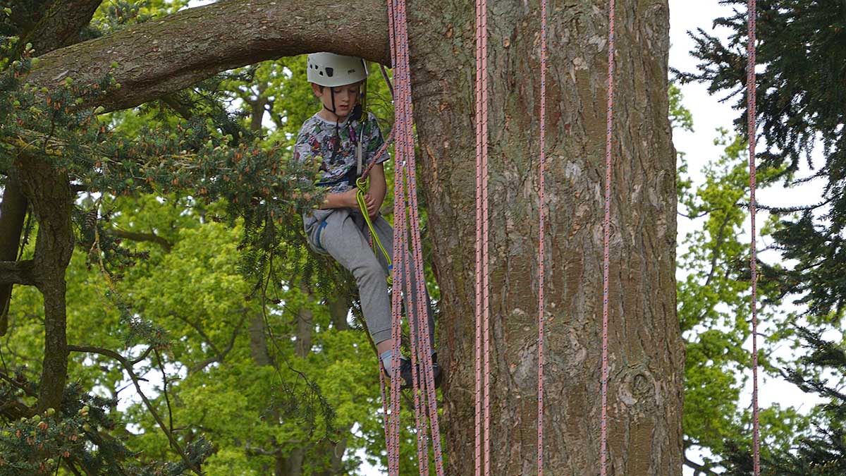 Children enjoying the opportunity to climb trees