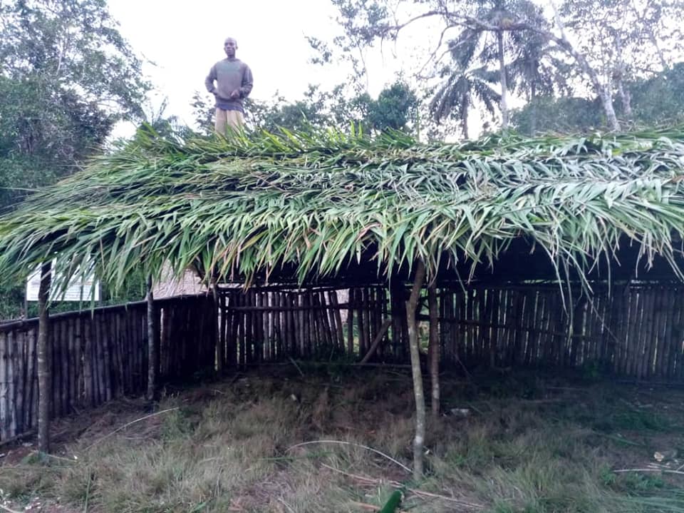 Temporary thatched classrooms