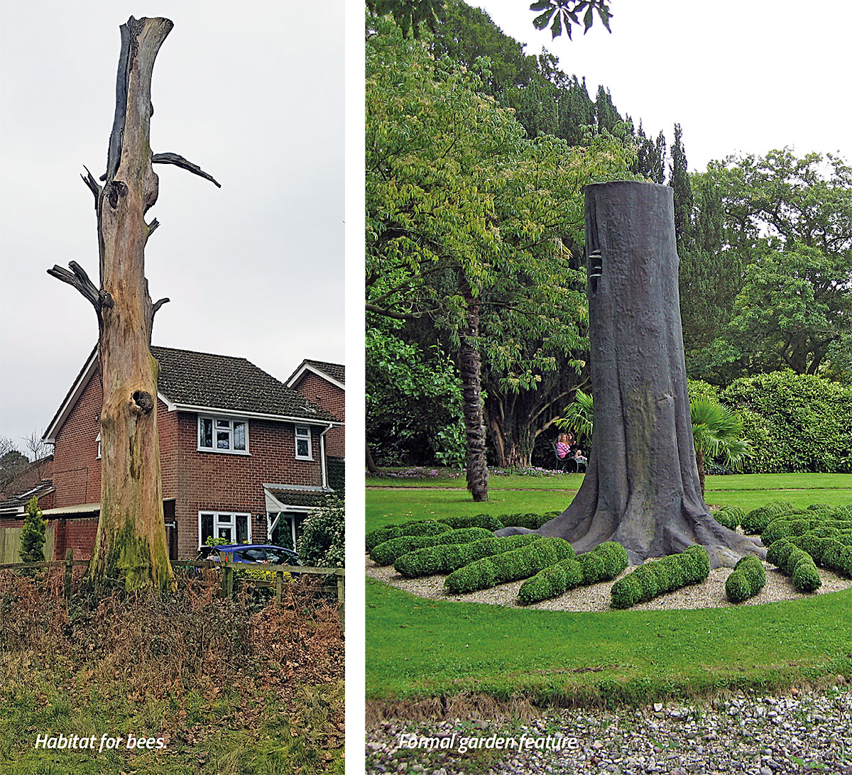 A habitat for trees and a formal garden feature