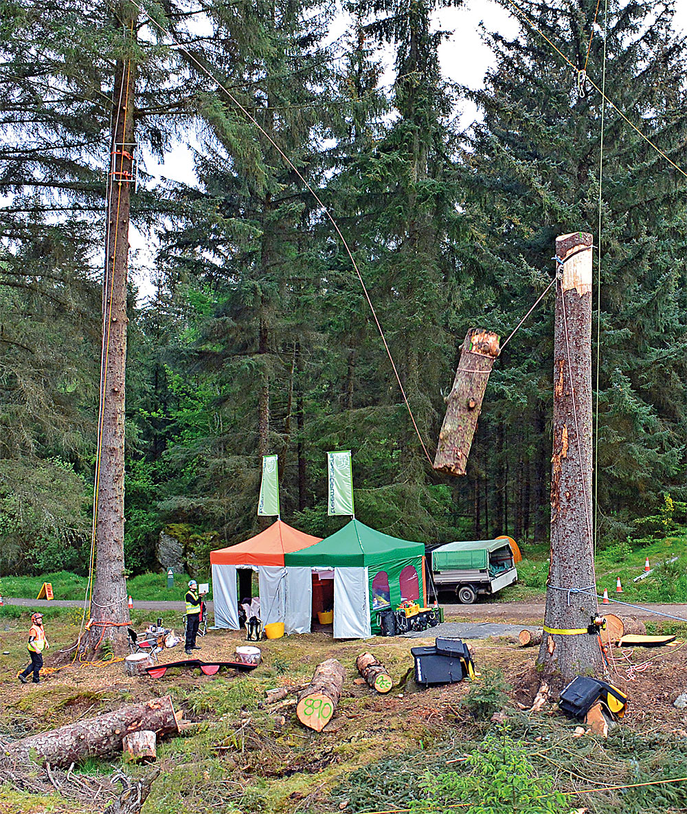 Arboricultural Association - A simple rule of thumb for rigging forces ...