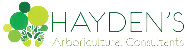 Hayden’s Arboricultural Consultants