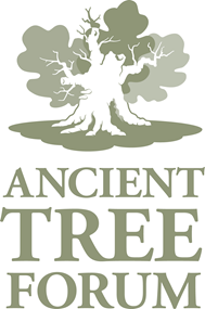 Ancient Tree Forum Logo