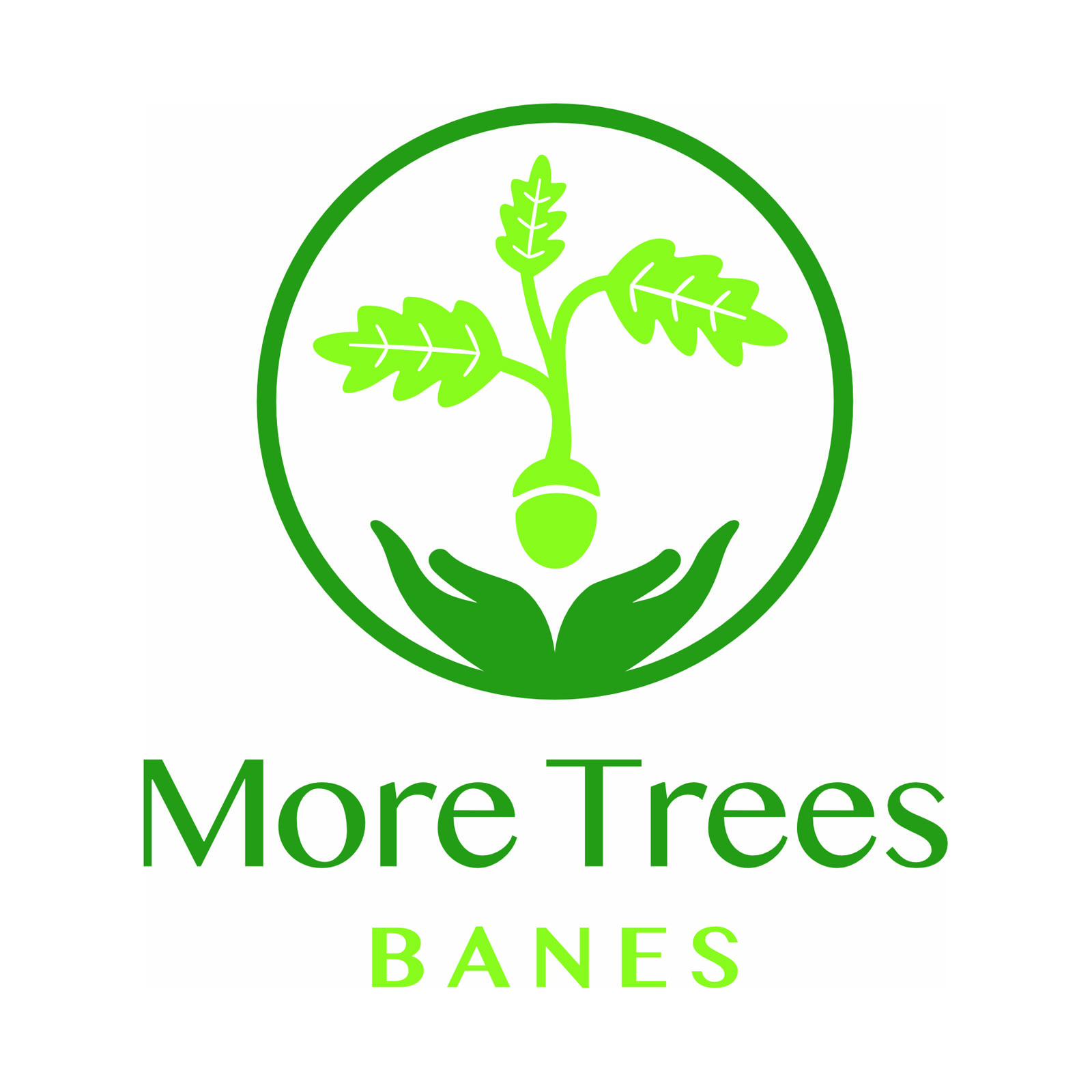 More Trees Banes